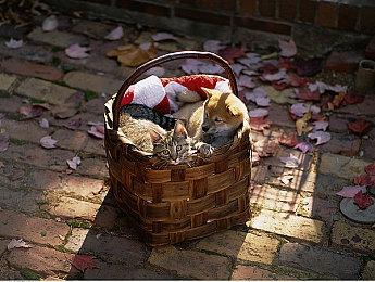 《World's End Club》现已支持PlayStation®5！数字下载版今日正式发布！